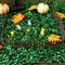 Miniature Fairy Garden Fence, DIY Wood Picket Fence Mini Ornament for Dollhouse